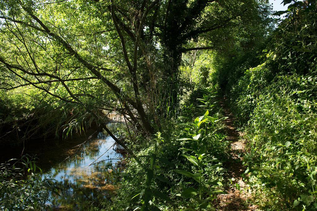 Recanto Da Ribeira Casas De Campo Мончик Екстериор снимка